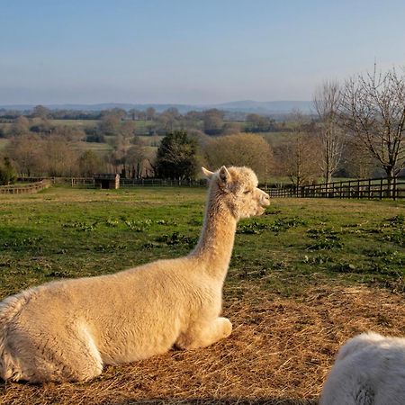 Charlie'S Cottage With Alpacas And 7Mins Drive To Alton Towers Denstone Dış mekan fotoğraf